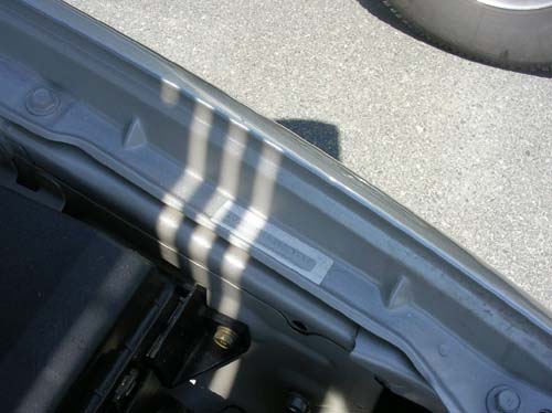new_images_042905 052