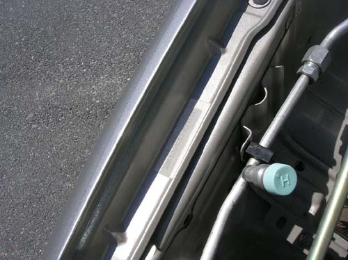 new_images_042905 053
